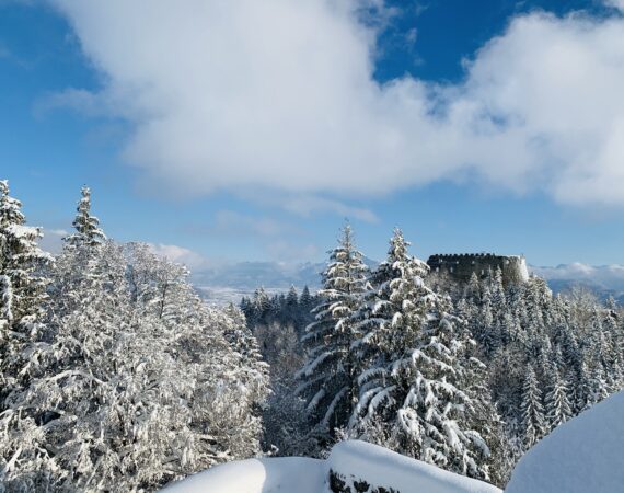 Ausblick auf die Burg Hohenfreyberg im Winter